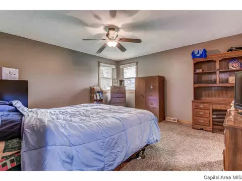 35 Devine Dr, Riverton, IL 62561 photo 15