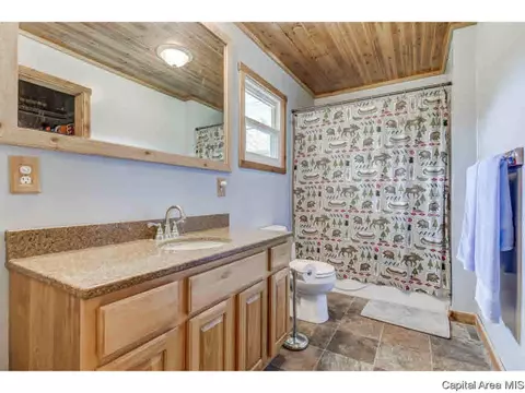 35 Devine Dr, Riverton, IL 62561 photo 18
