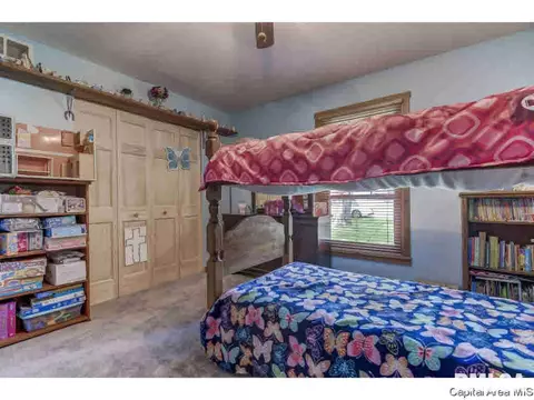 35 Devine Dr, Riverton, IL 62561 photo 19
