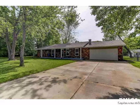 35 Devine Dr, Riverton, IL 62561 photo 30