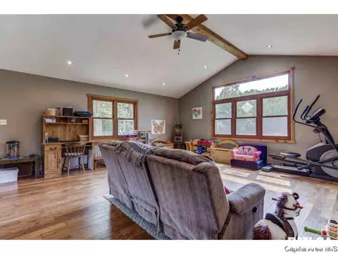 35 Devine Dr, Riverton, IL 62561 photo 14