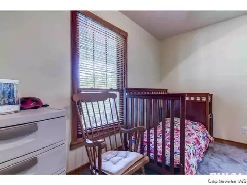35 Devine Dr, Riverton, IL 62561 photo 22