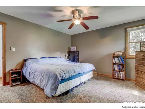 35 Devine Dr, Riverton, IL 62561 photo 16