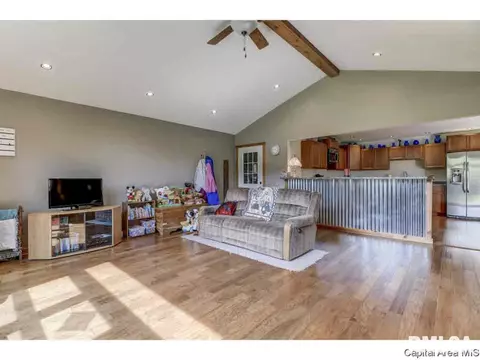 35 Devine Dr, Riverton, IL 62561 photo 11