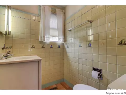 1504 N 11th St, Springfield, IL 62702 photo 13