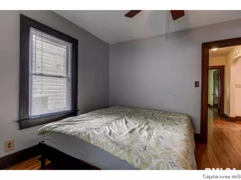 1916 S Pasfield St, Springfield, IL 62704 photo 15