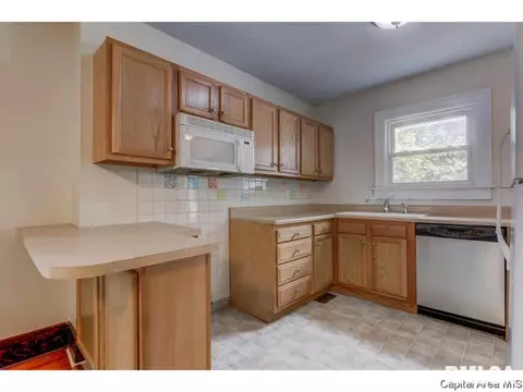 1916 S Pasfield St, Springfield, IL 62704 photo 9