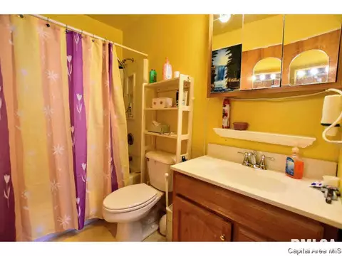 2916 Elliott Ave, Springfield, IL 62702 photo 32