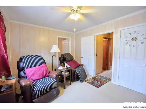 2916 Elliott Ave, Springfield, IL 62702 photo 25