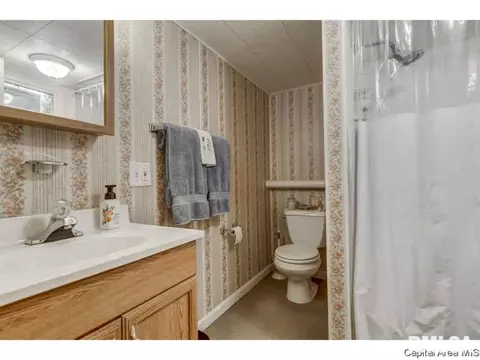 3340 Rita Ave, Springfield, IL 62704 photo 20