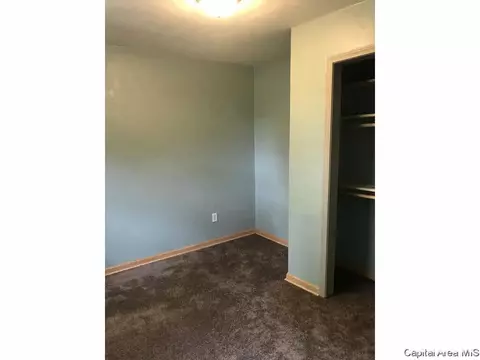 336 W 4th St, Waterloo, IL 62298 photo 13