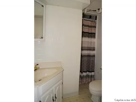 1806 E Hood St, Springfield, IL 62703 photo 25