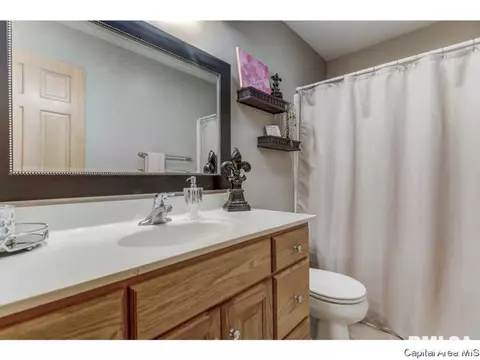 14428 Prairie Trl, Athens, IL 62613 photo 15