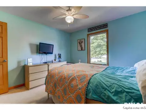 14428 Prairie Trl, Athens, IL 62613 photo 27