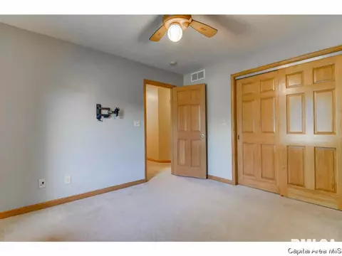 14428 Prairie Trl, Athens, IL 62613 photo 25