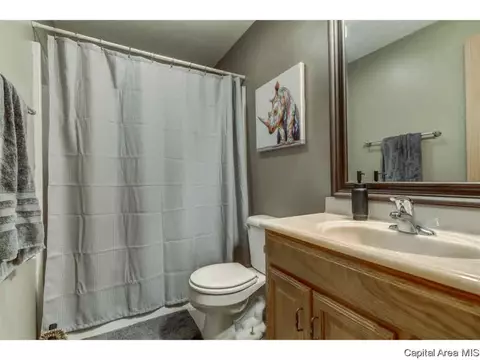 14428 Prairie Trl, Athens, IL 62613 photo 16