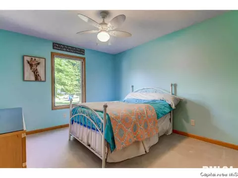 14428 Prairie Trl, Athens, IL 62613 photo 26