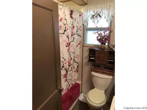 102 E Union St, Virginia, IL 62691 photo 26