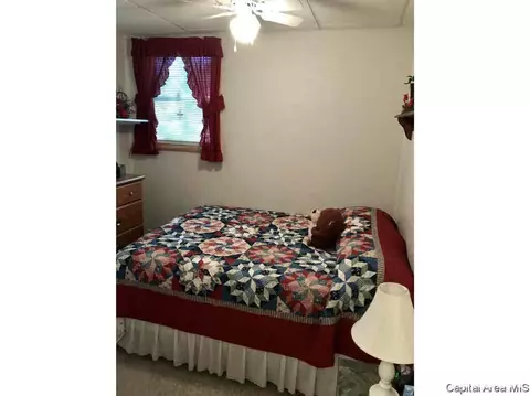 102 E Union St, Virginia, IL 62691 photo 24