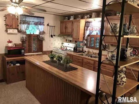 102 E Union St, Virginia, IL 62691 photo 13