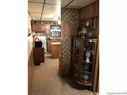 102 E Union St, Virginia, IL 62691 photo 11