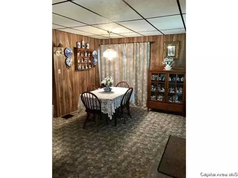 102 E Union St, Virginia, IL 62691 photo 10