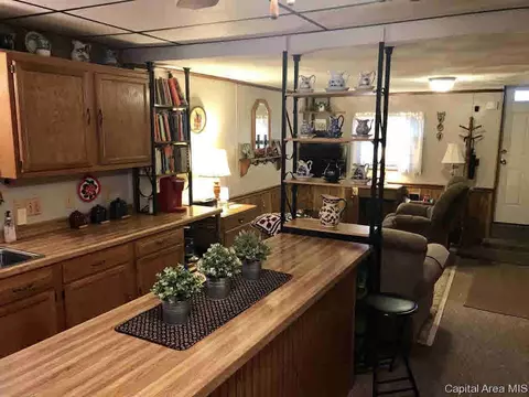 102 E Union St, Virginia, IL 62691 photo 15