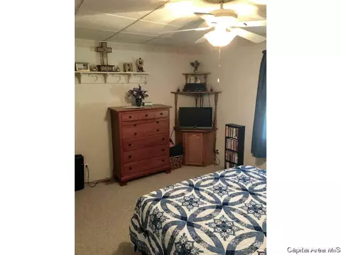 102 E Union St, Virginia, IL 62691 photo 20