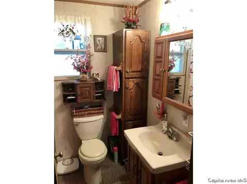 102 E Union St, Virginia, IL 62691 photo 25