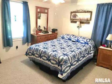 102 E Union St, Virginia, IL 62691 photo 21