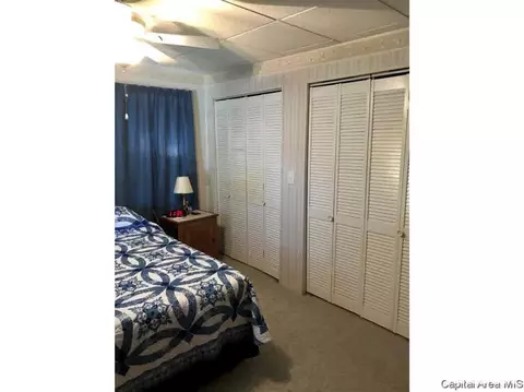 102 E Union St, Virginia, IL 62691 photo 22