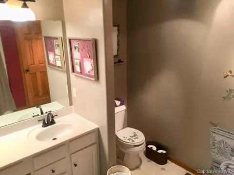 5309 Bunting Rd, Springfield, IL 62711 photo 13