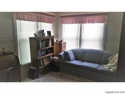 848 S Park Ave, Springfield, IL 62704 photo 21