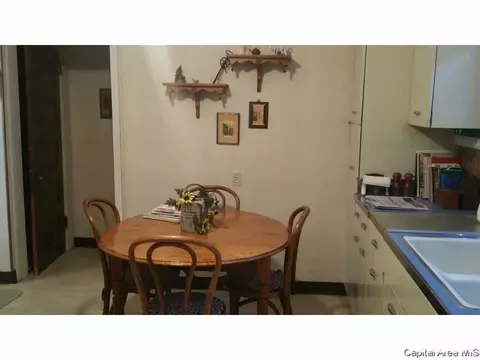 848 S Park Ave, Springfield, IL 62704 photo 12