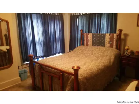 848 S Park Ave, Springfield, IL 62704 photo 19