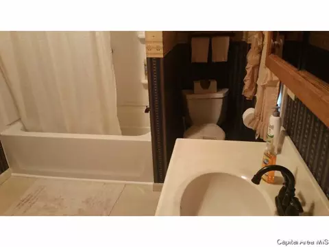 848 S Park Ave, Springfield, IL 62704 photo 23