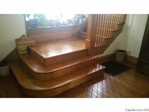 848 S Park Ave, Springfield, IL 62704 photo 14