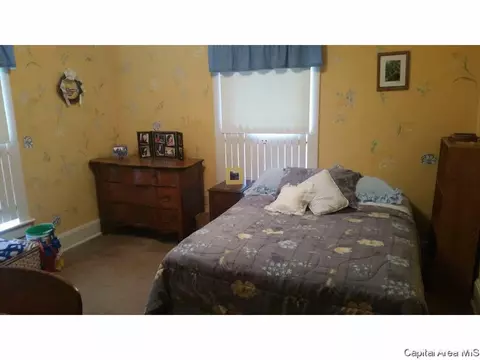 848 S Park Ave, Springfield, IL 62704 photo 17