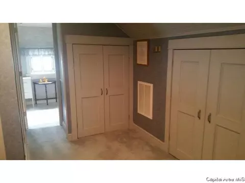 848 S Park Ave, Springfield, IL 62704 photo 27