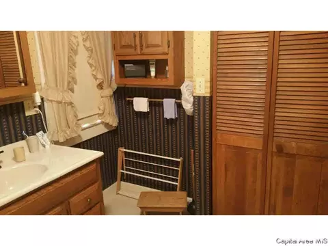 848 S Park Ave, Springfield, IL 62704 photo 22