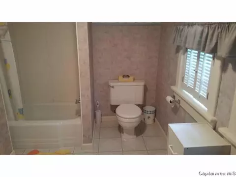 848 S Park Ave, Springfield, IL 62704 photo 29