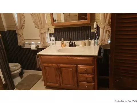 848 S Park Ave, Springfield, IL 62704 photo 18
