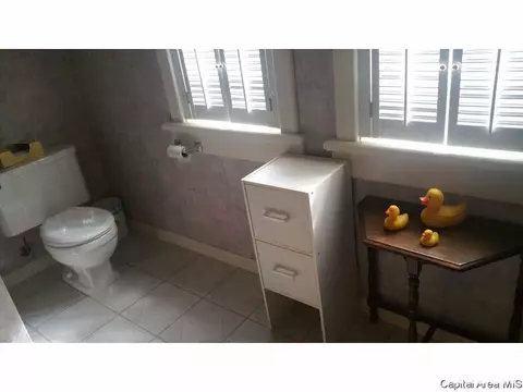 848 S Park Ave, Springfield, IL 62704 photo 28