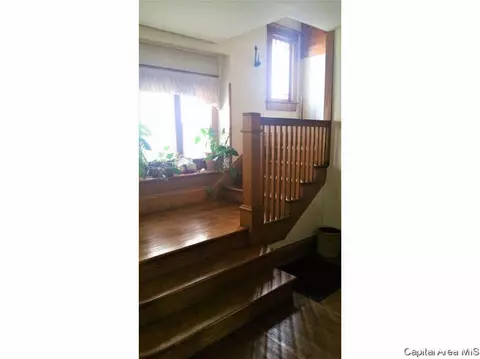848 S Park Ave, Springfield, IL 62704 photo 15