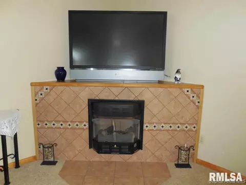 191 Wing, Avon, IL 61415 photo 12