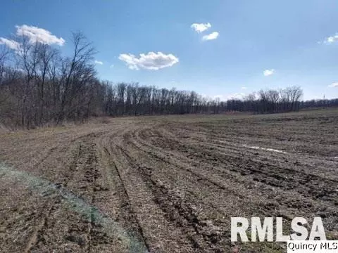 82 E 2600th, Barry, IL 62312 photo 11