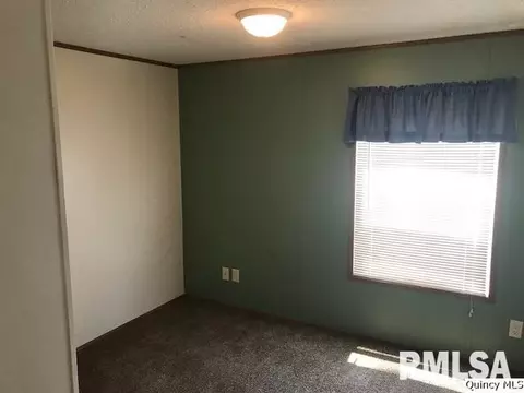 1335 N 1720th Ave, Fowler, IL 62338 photo 7