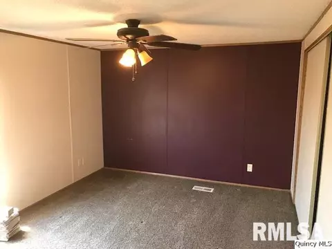 1335 N 1720th Ave, Fowler, IL 62338 photo 9
