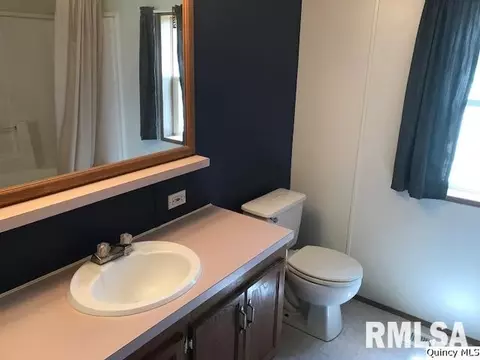 1335 N 1720th Ave, Fowler, IL 62338 photo 8