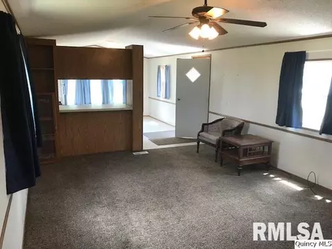 1335 N 1720th Ave, Fowler, IL 62338 photo 4
